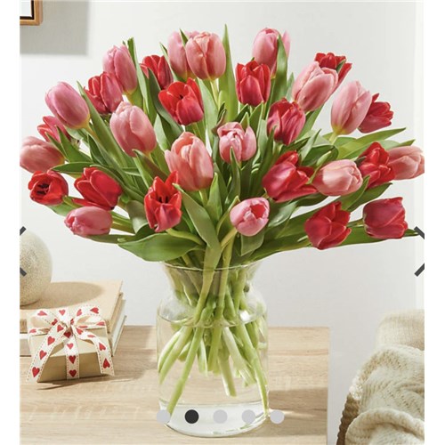 Screenshot_20260205_191827_Samsung_Internet