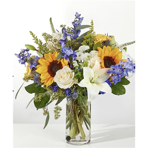 Screenshot_20260216_100436_Chrome