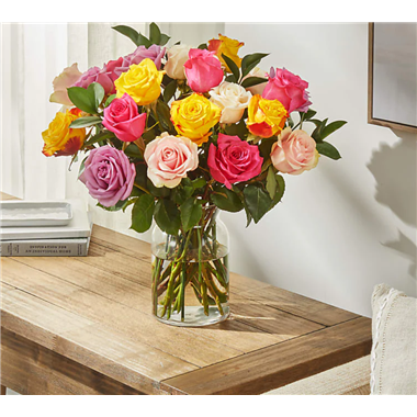 24 Beautiful Mixed Color Roses