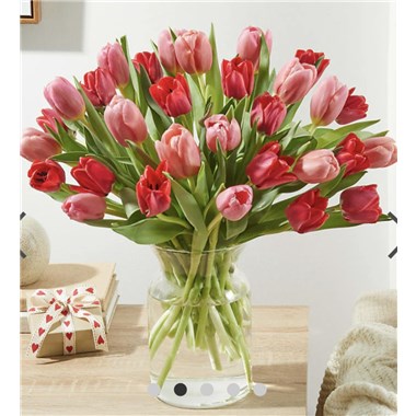 Screenshot_20260205_191827_Samsung_Internet