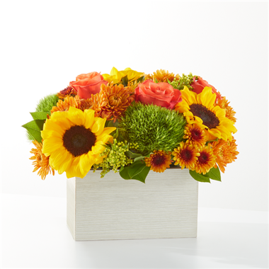 webimage-5852146A-F8