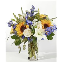 Screenshot_20260216_100436_Chrome